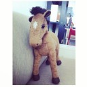 สมาชิกหมายเลข 1231094