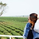 เป็ดน้อยปลาทอง