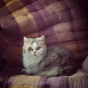 หนูมีหนูรวย