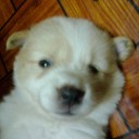 สมาชิกหมายเลข 722469