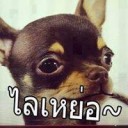 สมาชิกหมายเลข 1523075