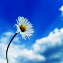 สมาชิกหมายเลข 896200