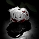 สมาชิกหมายเลข 1948127