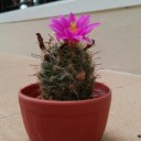 สมาชิกหมายเลข 1367227