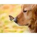 สมาชิกหมายเลข 1679879