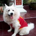 แม่โลโบ้