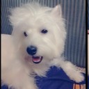 เจ้าก้อตน้อย