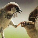 สมาชิกหมายเลข 722227