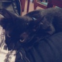 สมาชิกหมายเลข 1080576