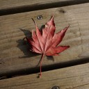 Ordinary Travel Diary