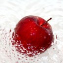 สมาชิกหมายเลข 981308