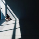 สมาชิกหมายเลข 2349563