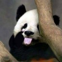 สมาชิกหมายเลข 2070506