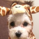 สมาชิกหมายเลข 2744024