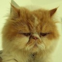 สมาชิกหมายเลข 722965