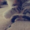 สมาชิกหมายเลข 1523815