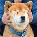 สมาชิกหมายเลข 3166707