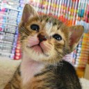 แม่มินนี่