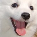 สมาชิกหมายเลข 2350408