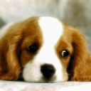 สมาชิกหมายเลข 2744645