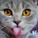 สมาชิกหมายเลข 3167194