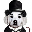 คเชนไตร