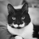 สมาชิกหมายเลข 1114332