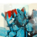 สมาชิกหมายเลข 1524768