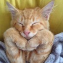 สมาชิกหมายเลข 1713715