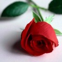 สมาชิกหมายเลข 1482408