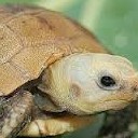 สมาชิกหมายเลข 2378481