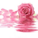 สมาชิกหมายเลข 2328119