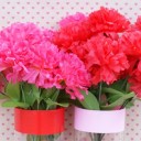 สมาชิกหมายเลข 715624