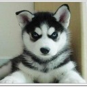 สมาชิกหมายเลข 1774765