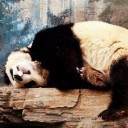 สมาชิกหมายเลข 1639505