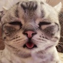 สมาชิกหมายเลข 2851864