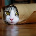 สมาชิกหมายเลข 1956875