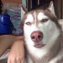 สมาชิกหมายเลข 2351300