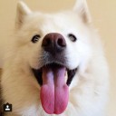 สมาชิกหมายเลข 2745903