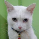 สุภาพสตรี