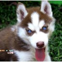 จะเก็บเธอไว้ในใจ