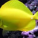 สมาชิกหมายเลข 709128