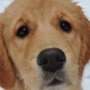 สมาชิกหมายเลข 1973731