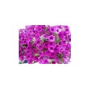 สมาชิกหมายเลข 1526069