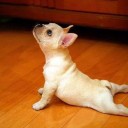 สมาชิกหมายเลข 1526141