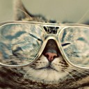 สมาชิกหมายเลข 1113484