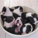 WiAnน็องแน็ง