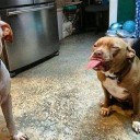 สมาชิกหมายเลข 1026417