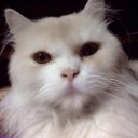 สมาชิกหมายเลข 1076286