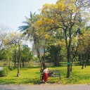 สมาชิกหมายเลข 1353573